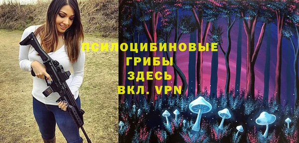 хмурый Рославль