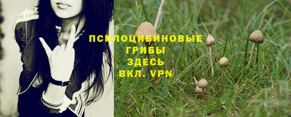 хмурый Рославль