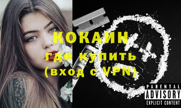 хмурый Рославль
