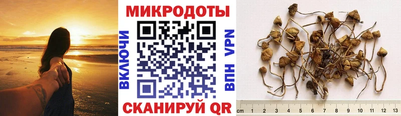 Галлюциногенные грибы Psilocybe  Бирск 